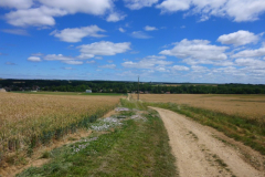P1040123