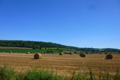 P1040164