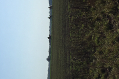 07_morainvilliers (4)