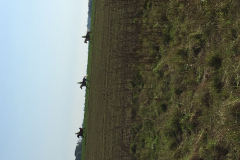 07_morainvilliers (5)