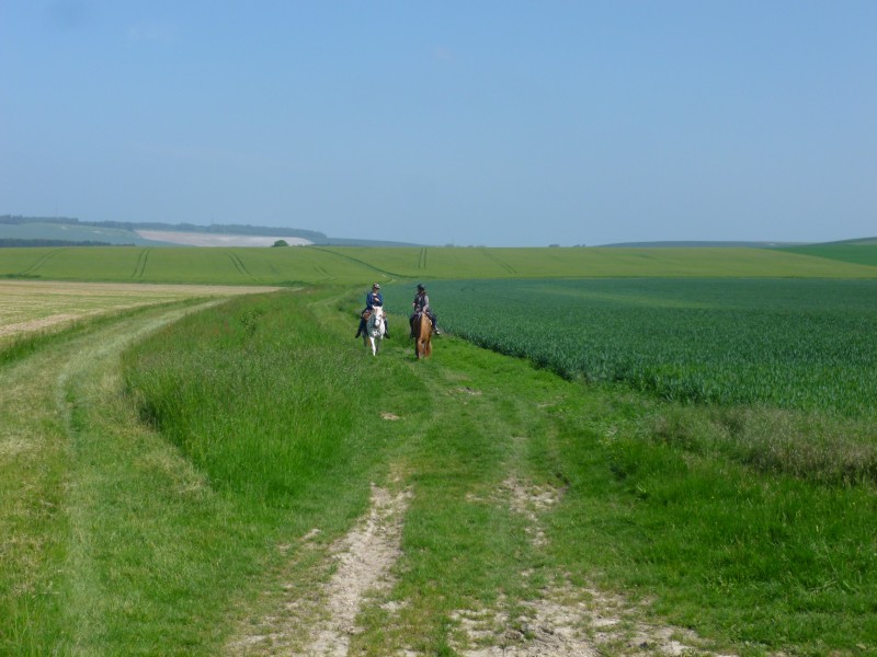 P1050008
