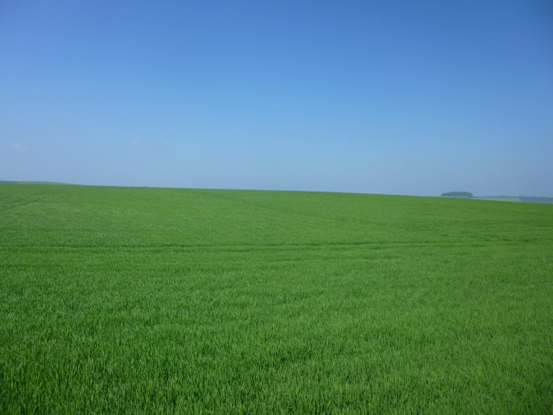 P1050011