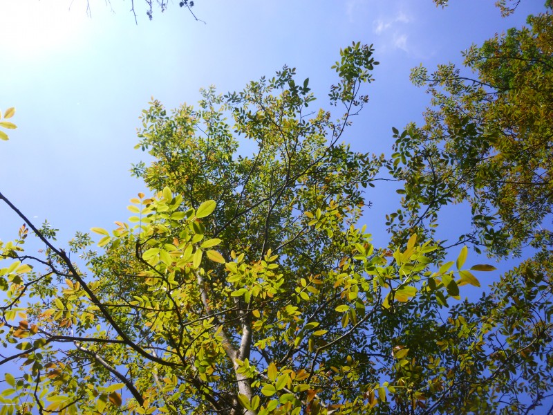 P1050044