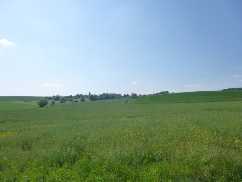 P1050050