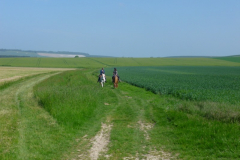 P1050008