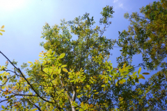 P1050044