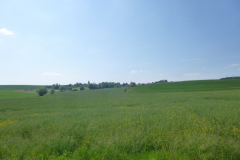P1050050