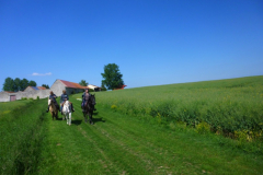 P1050051