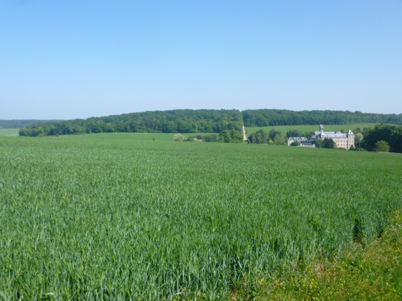 P1050075