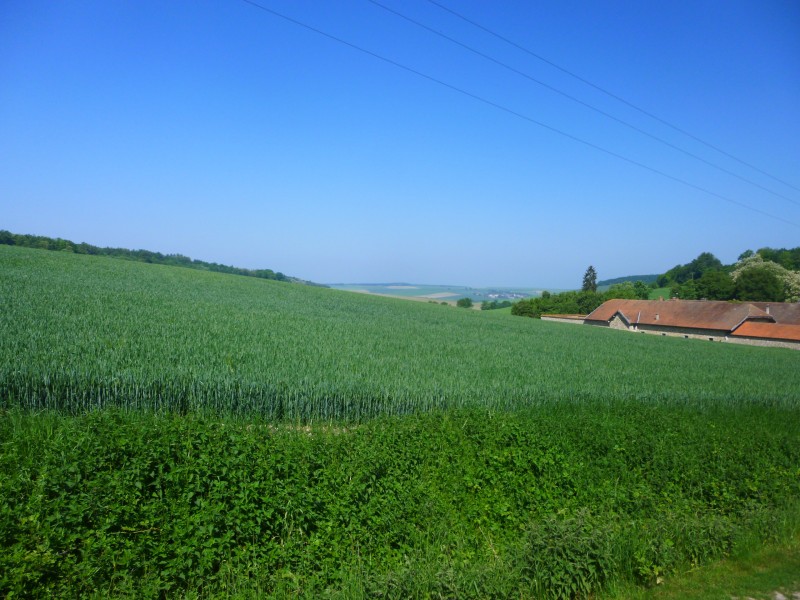 P1050085