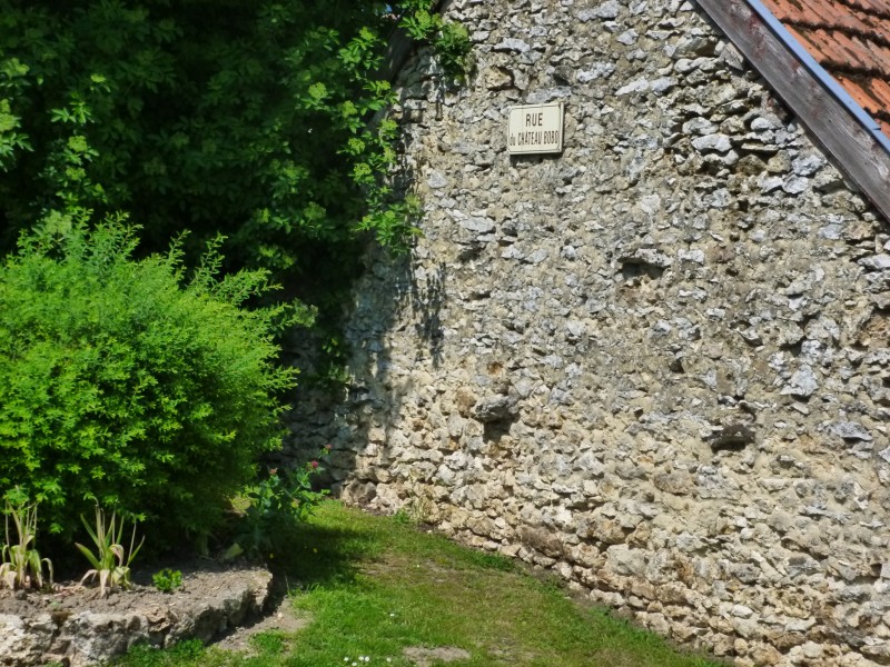 P1050101