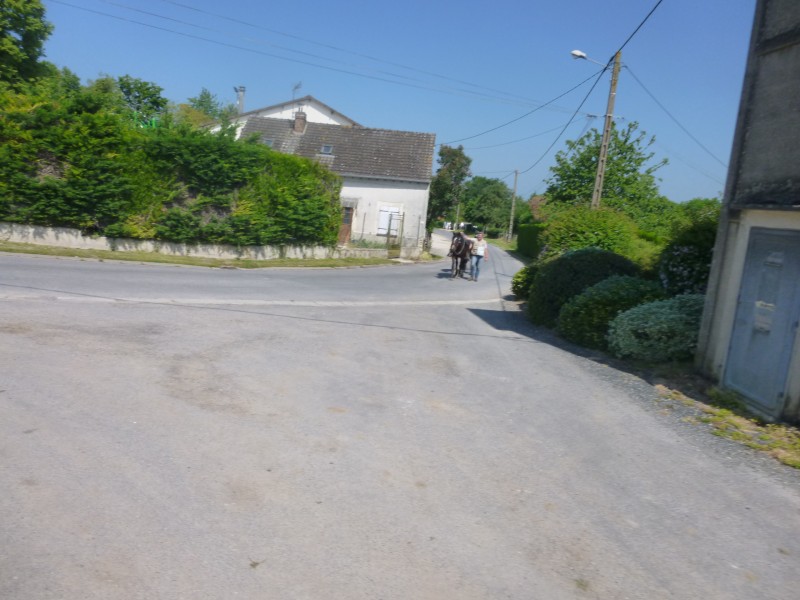 P1050106