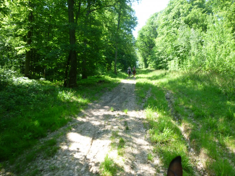 P1050116