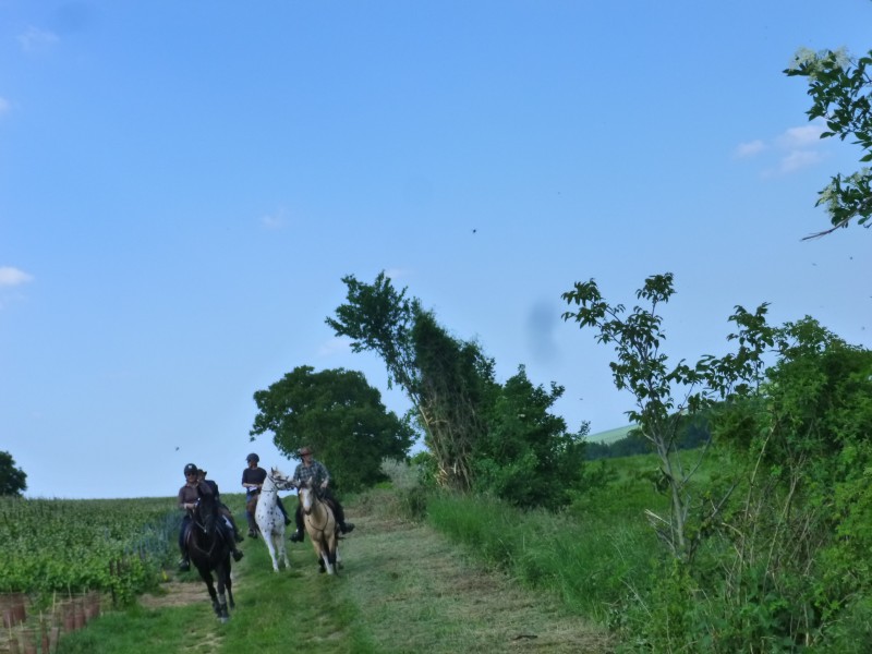 P1050140