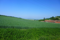 P1050085