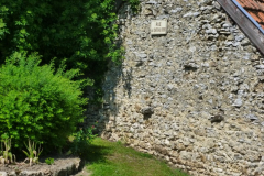 P1050101