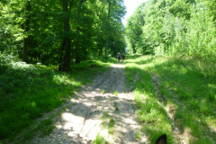 P1050116