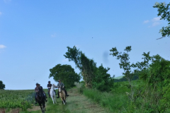 P1050140