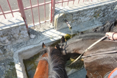 P1050151