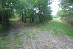 P1050201