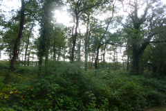 P1050202