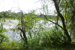 P1050230