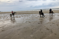 2018_07_sortie_plage (15)