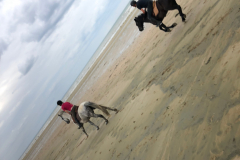 2018_07_sortie_plage (16)