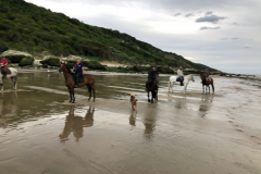 2018_07_sortie_plage (28)