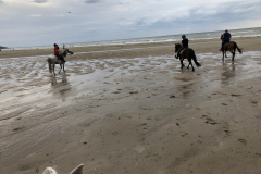 2018_07_sortie_plage (3)