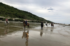 2018_07_sortie_plage (9)