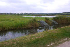P1050707