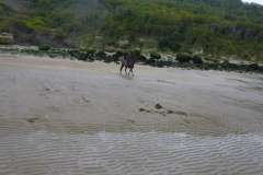 P1050749