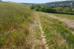 chemin Beynes