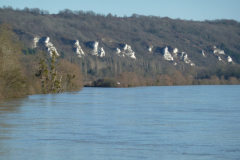 les-falaises
