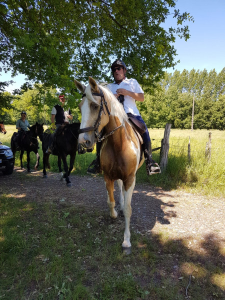 IMG-20190610-WA0010