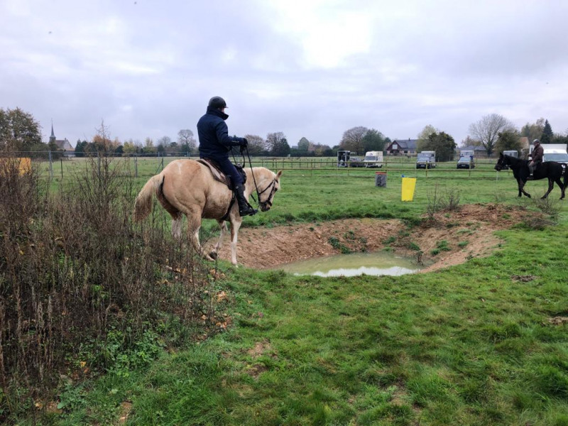 IMG-20191127-WA0020