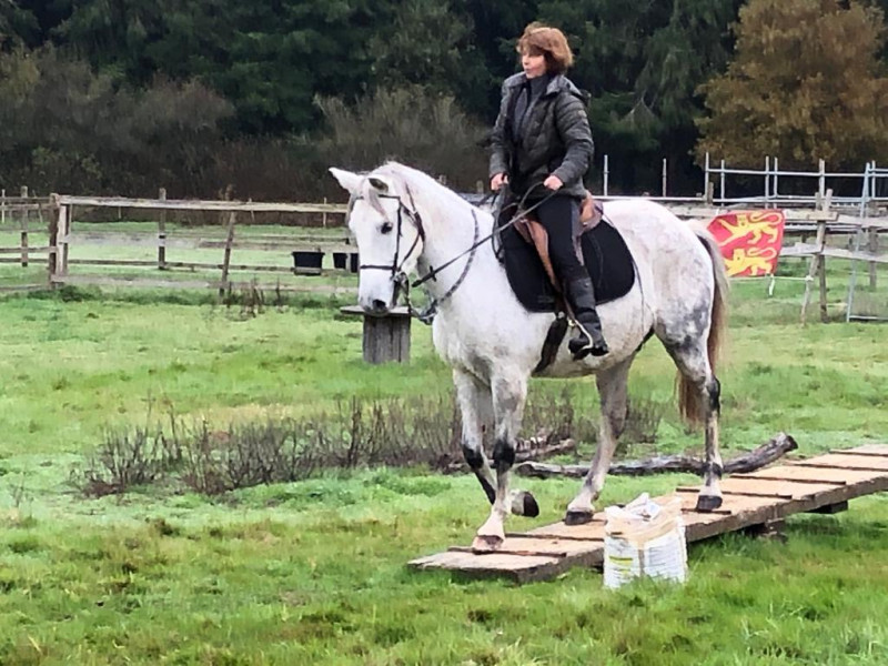 IMG-20191127-WA0036