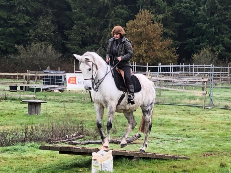 IMG-20191127-WA0037