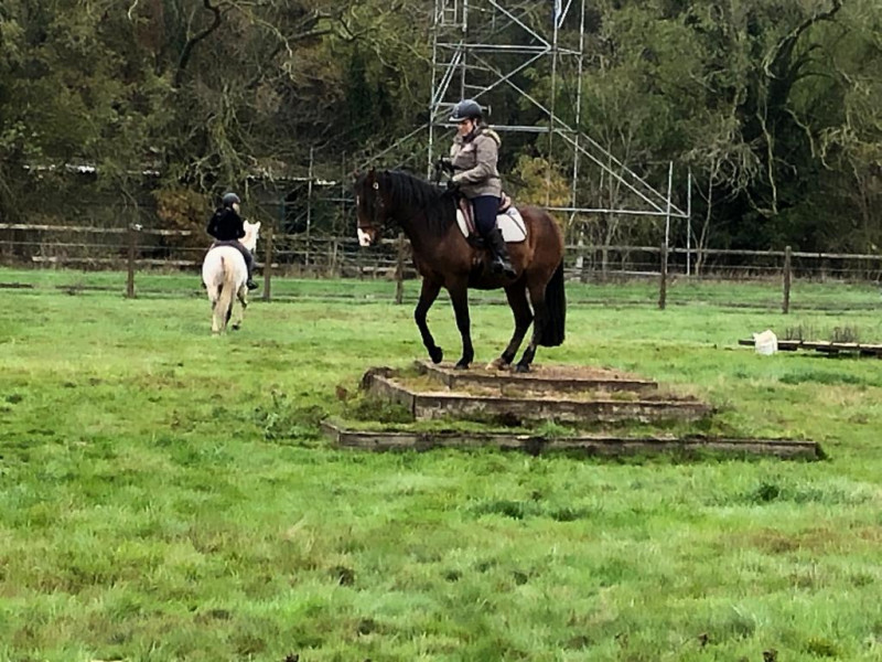 IMG-20191127-WA0039