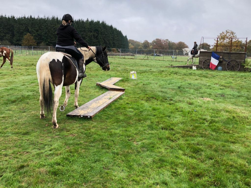 IMG-20191127-WA0041