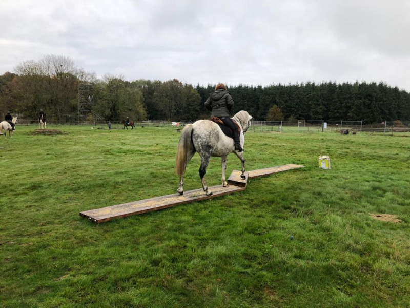 IMG-20191127-WA0045