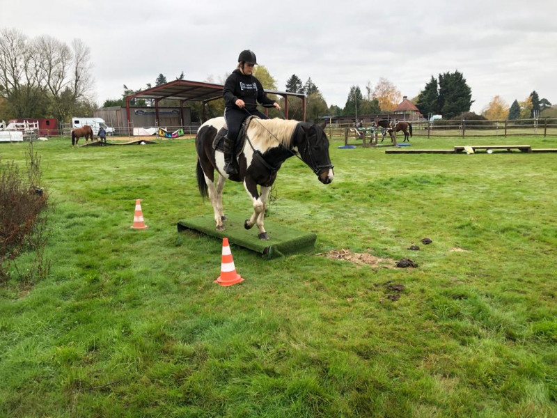 IMG-20191127-WA0050