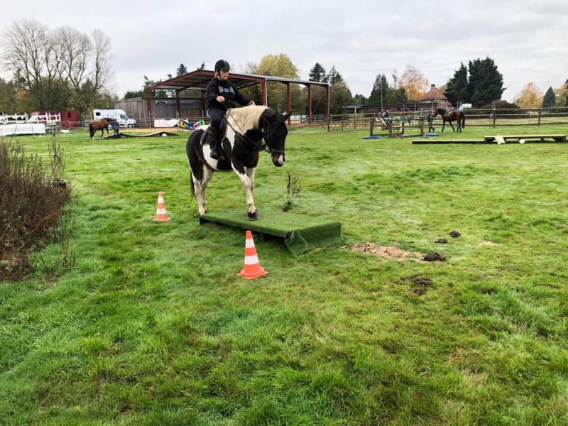 IMG-20191127-WA0051