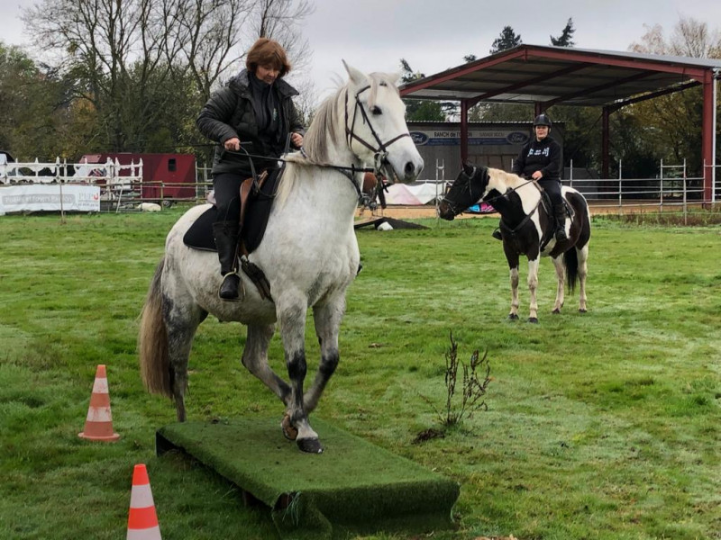 IMG-20191127-WA0053