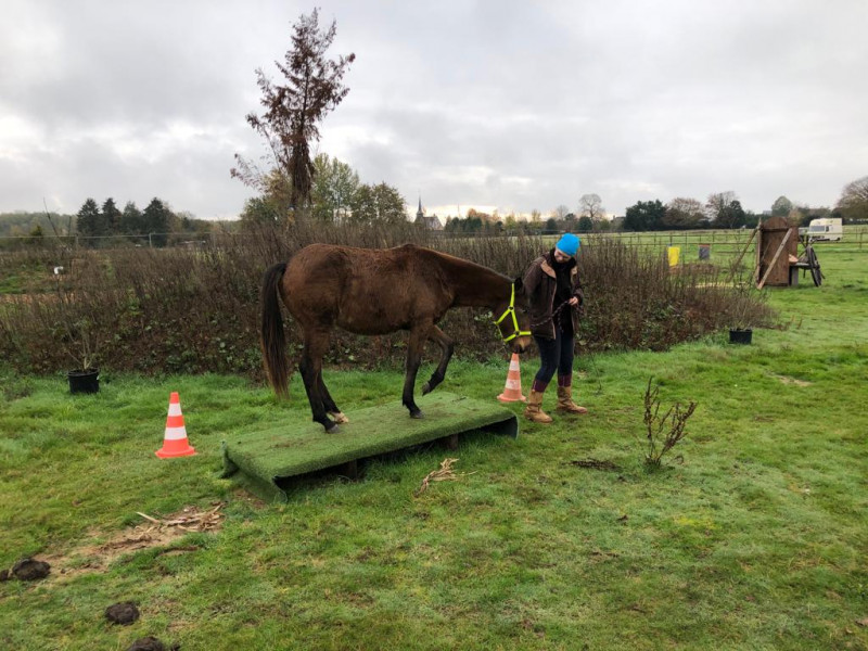 IMG-20191127-WA0085
