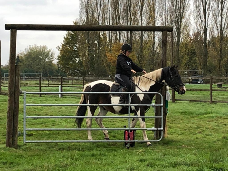 IMG-20191127-WA0094