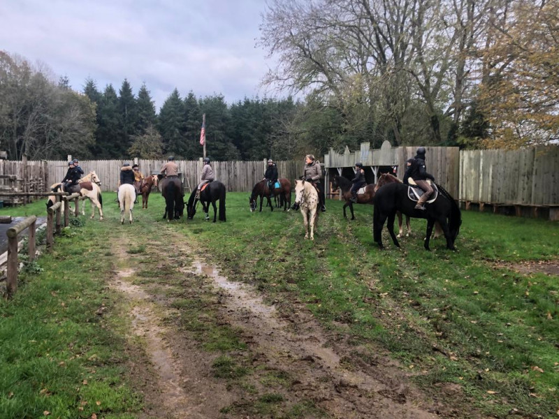 IMG-20191127-WA0105