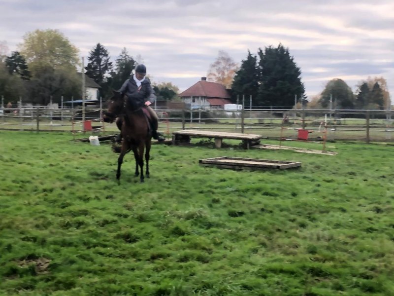 IMG-20191127-WA0110
