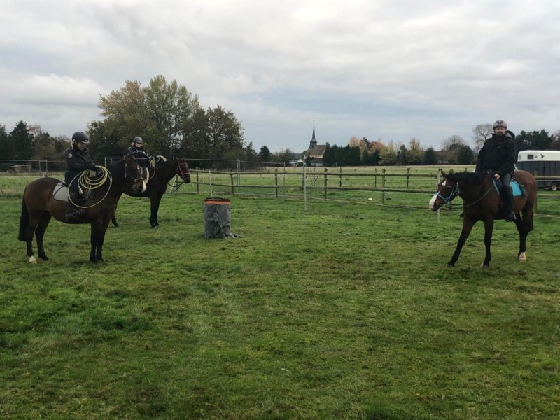 IMG-20191127-WA0118